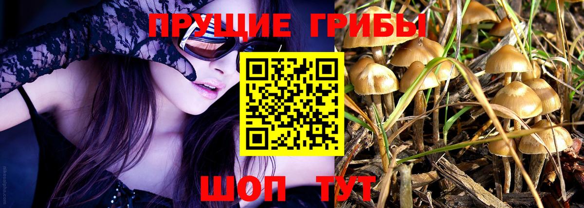 Галлюциногенные грибы ЛСД  Галлюциногенные грибы Psilocybe  Семёнов  Вход с VPN 